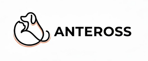 Anteross