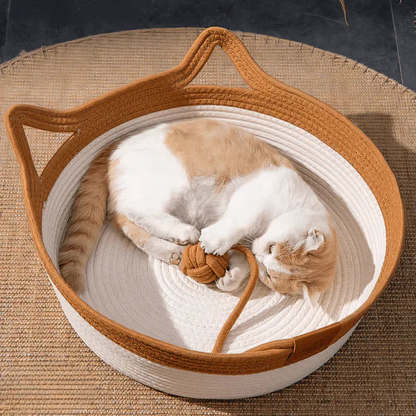 Cat Basket